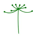Logo Aymapu