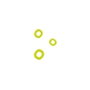 Logo Puna Bio