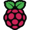 Logo Raspberry Pi